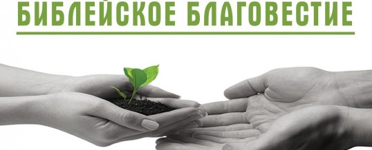 Новая программа школы «Алмаз»